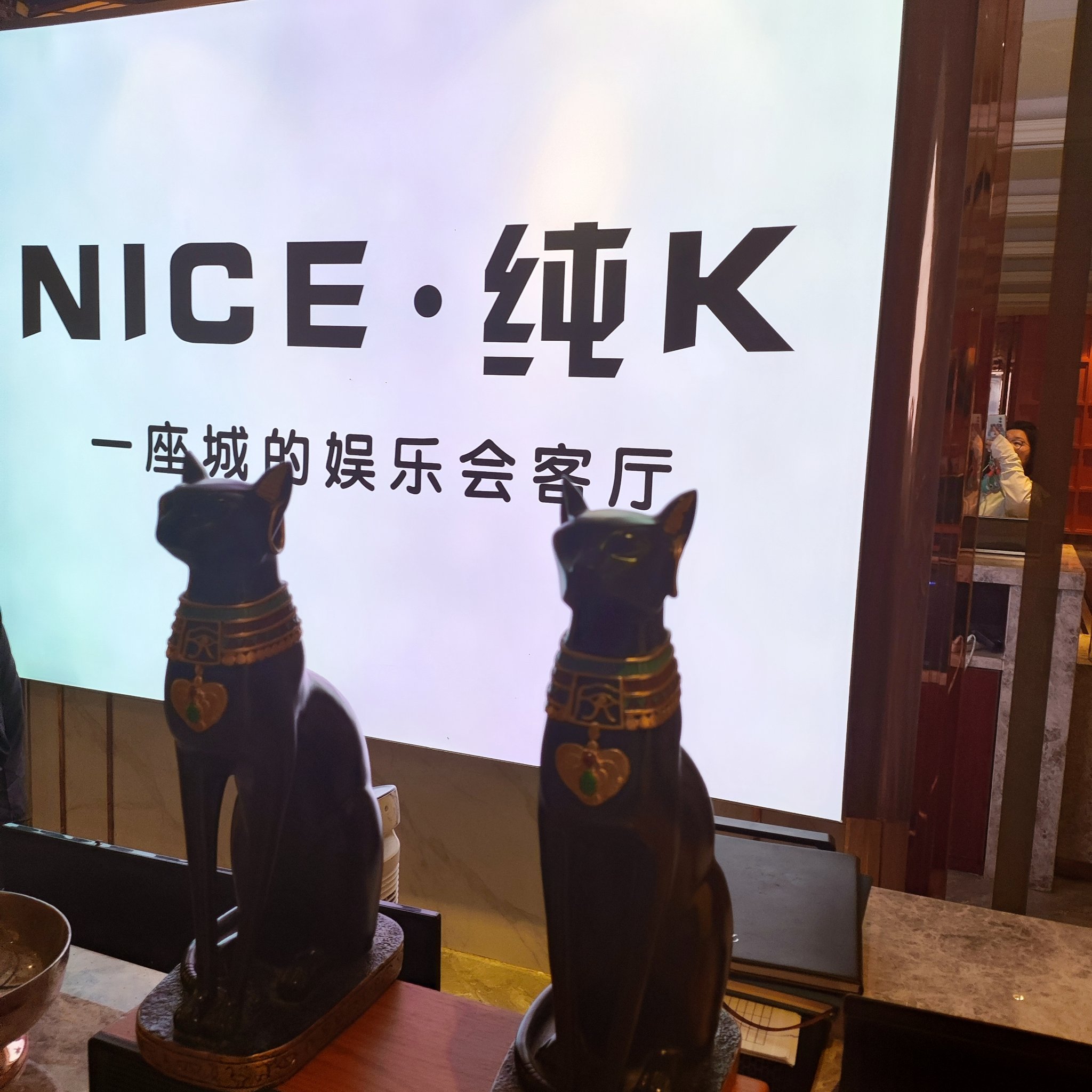 鹤岗商务ktv中低端服务对比-东山区KTV团购